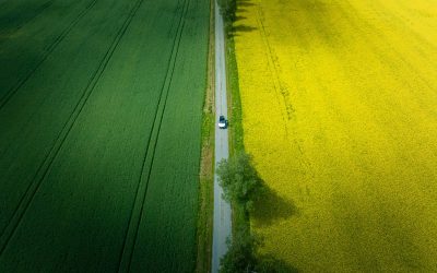Naturfotografen om nya eldrivna Volvon: ”Går att få olika stämningar i bilen”